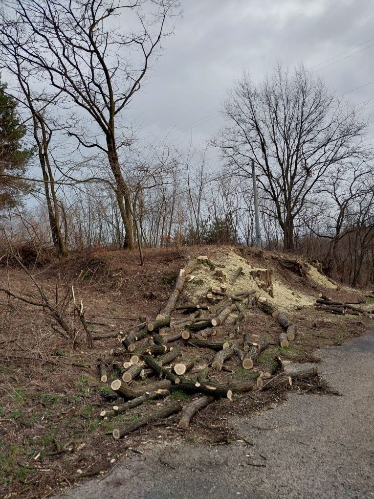 Wycinka drzew czyszczenie działek mulczer koszenie trawy Brzesko