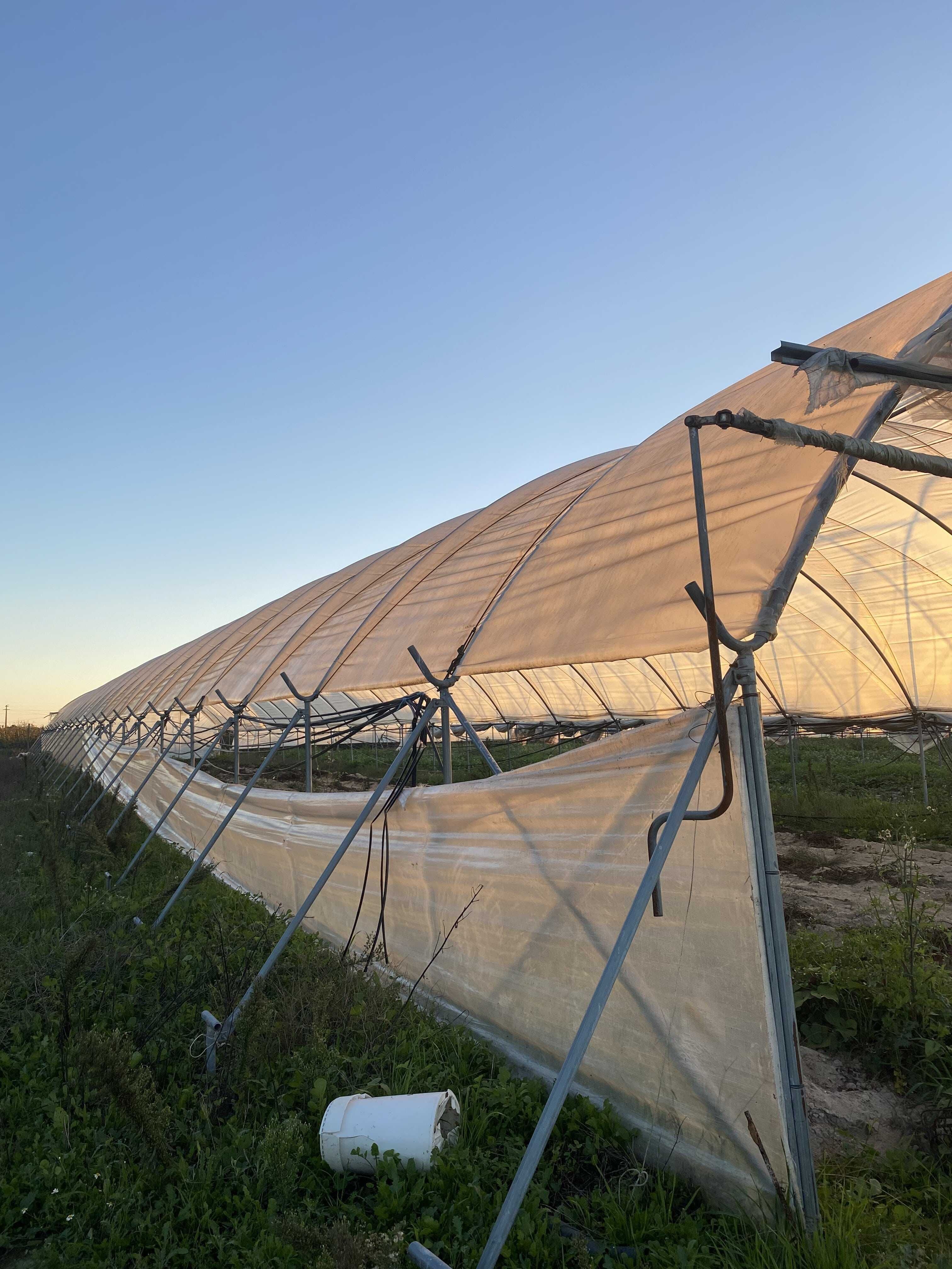 Estufas / Túneis Agrícolas