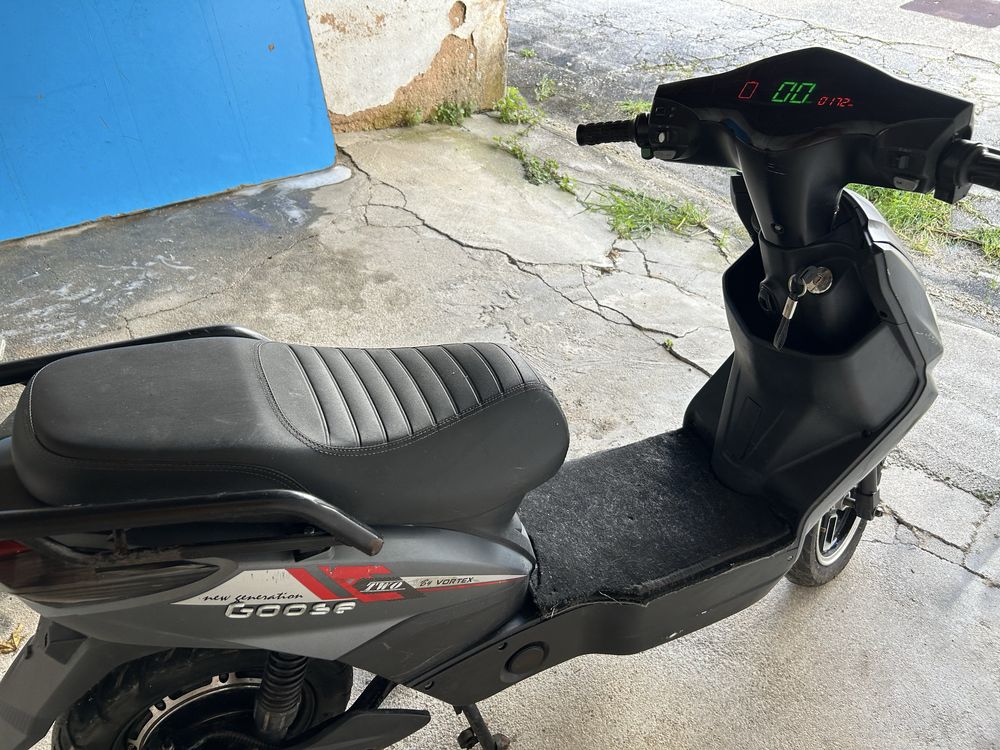 Mota Elétrica GOOSE 800 SE