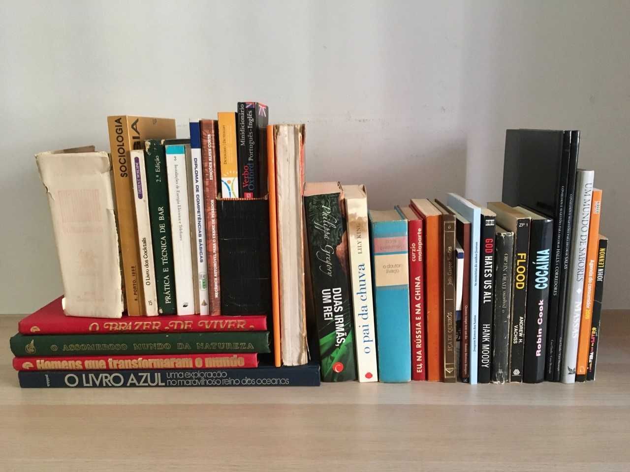 Vários livros - história, geografia, literatura, etc