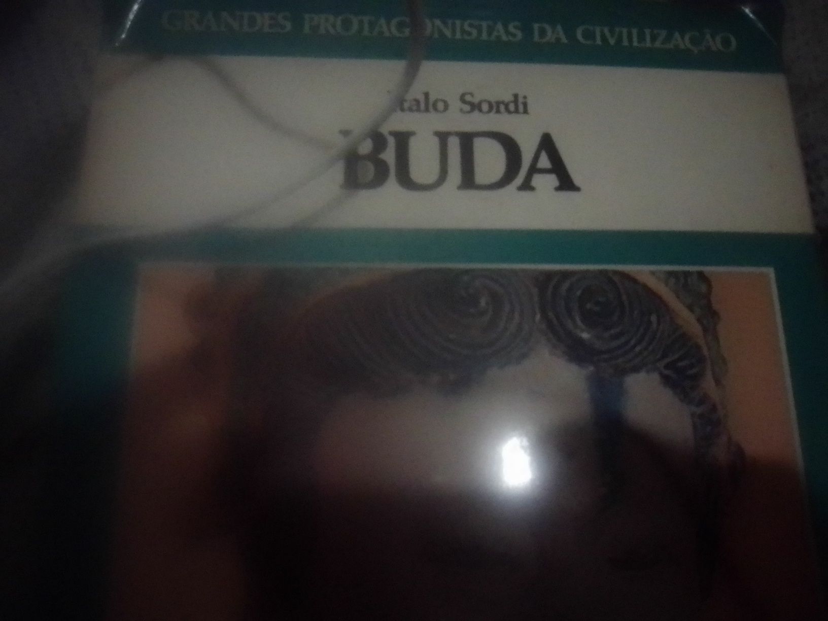 Vários livros de literatura portuguesa para quem gosta de ler