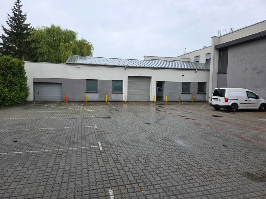 Lokal użytkowy do wynajęcia 252 m2