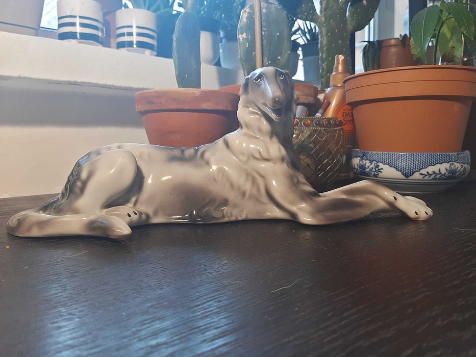 Porcelanowy Pies- Wałbrzych