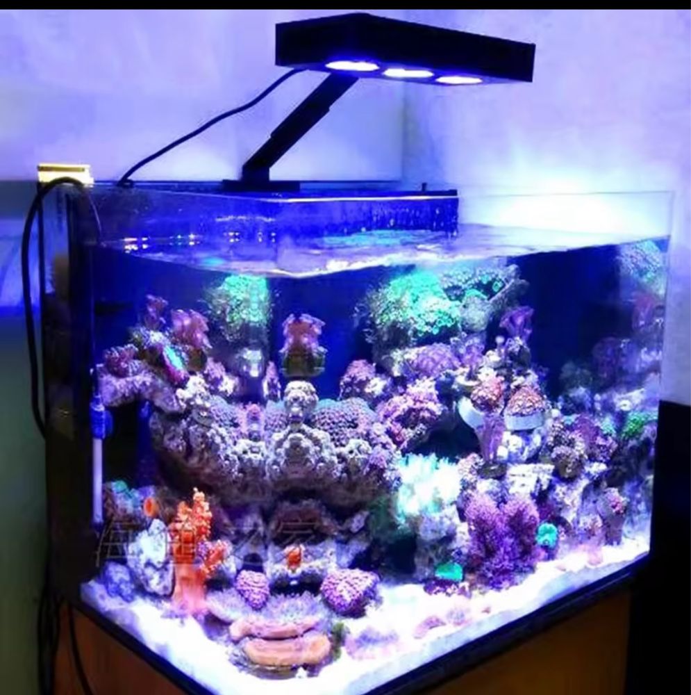 Calha luz led para aquario reef marinho agua salgada