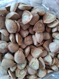 Noz sa india semente totalmente natural emagreça ate 4 kilos em 1 mes.