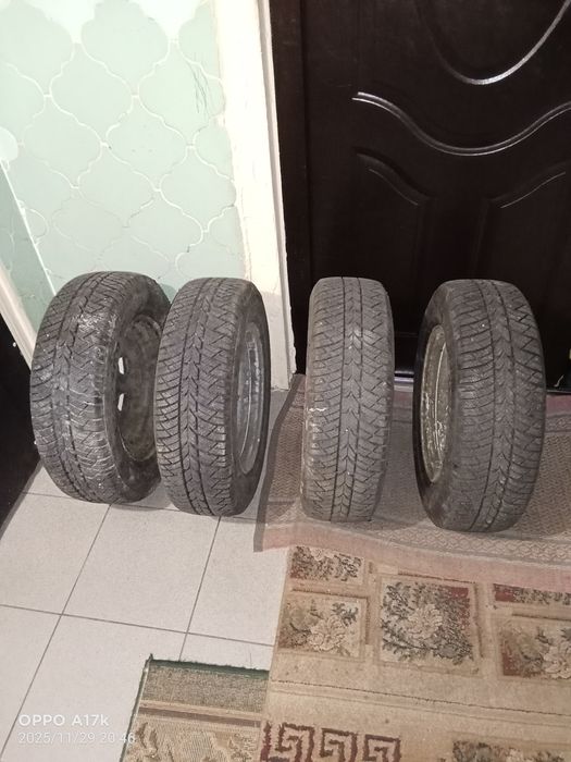 Зимова гума Rosava