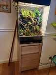 Zestaw terrarium 40x40x70 + gekony