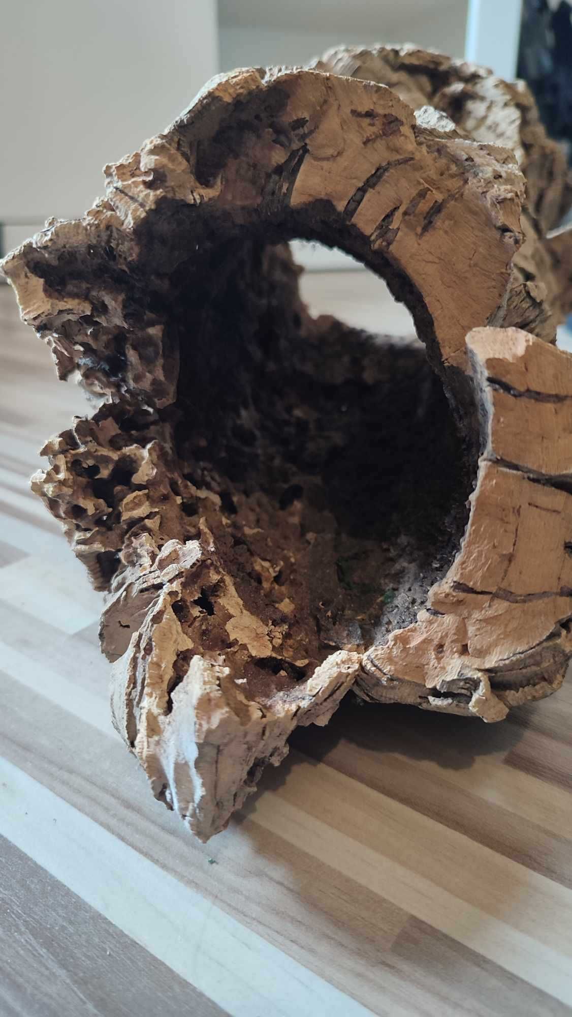 Konar do terrarium dla gekona, duży
