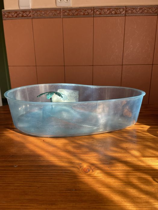 Тераріум для черепах