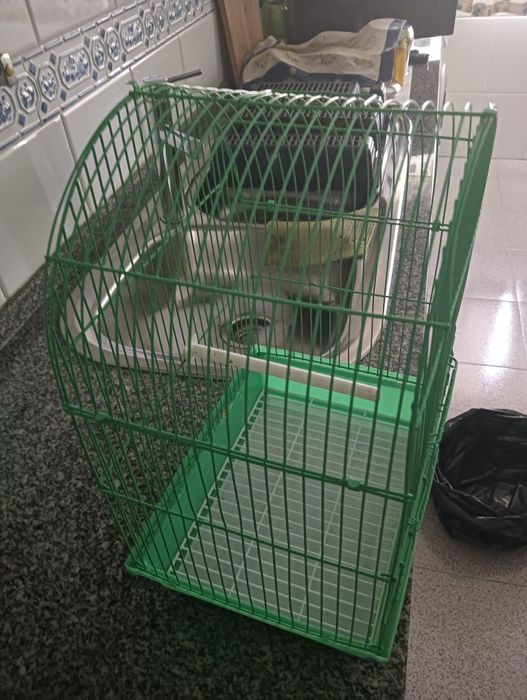 Gaiola  pequena verde