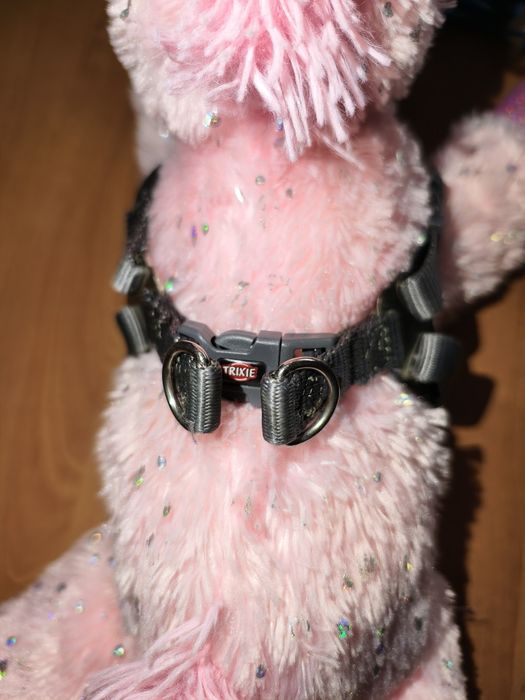 Жилет, пальто, намордник, шлея, попона, амуніція, одяг