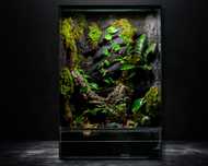 Terrarium tropikalne gekon 40x40x60