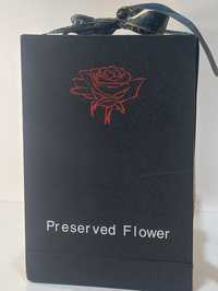 Wieczna róża prezent dla dziewczyny