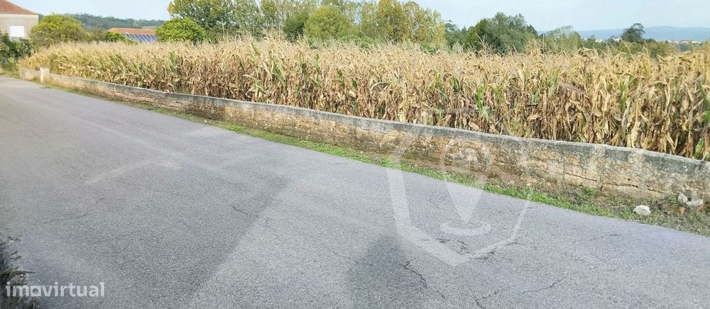 Terreno Para Construção Moradias - Oliveira Do Bairro!