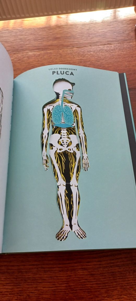 Anatomia piękny album dla dzieci