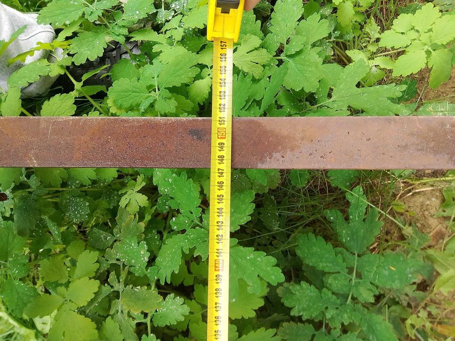 Wózek metalowy 80x150 cm solidny Żary Żagań Szprotawa Zielona Góra