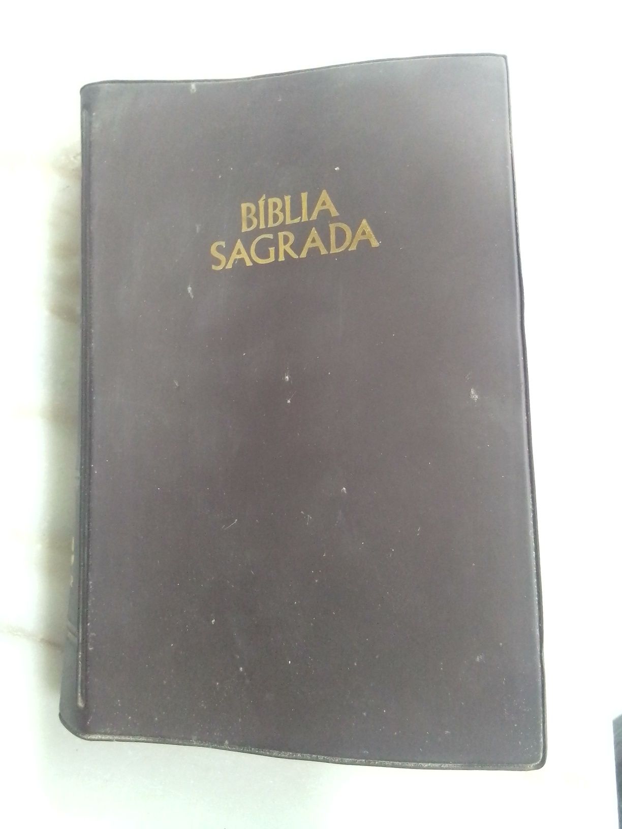 Bíblia sagrada antiga capa preta só 15€