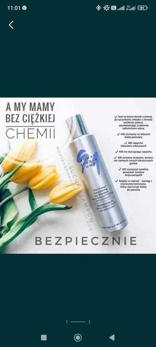 The Champ - Suchy szampon z odżywką Monat