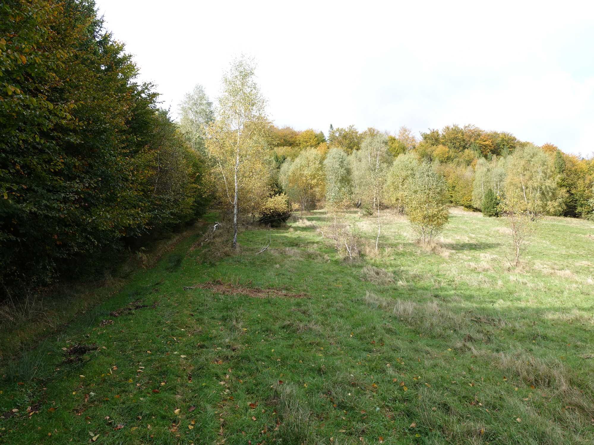 Brenna 2,53 ha inwestycyjna blisko wyciągu orczykowego piękna panorama