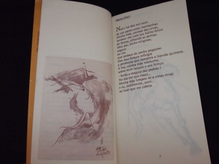 Livro Pedras Suspensas Carlos Carranca 1996