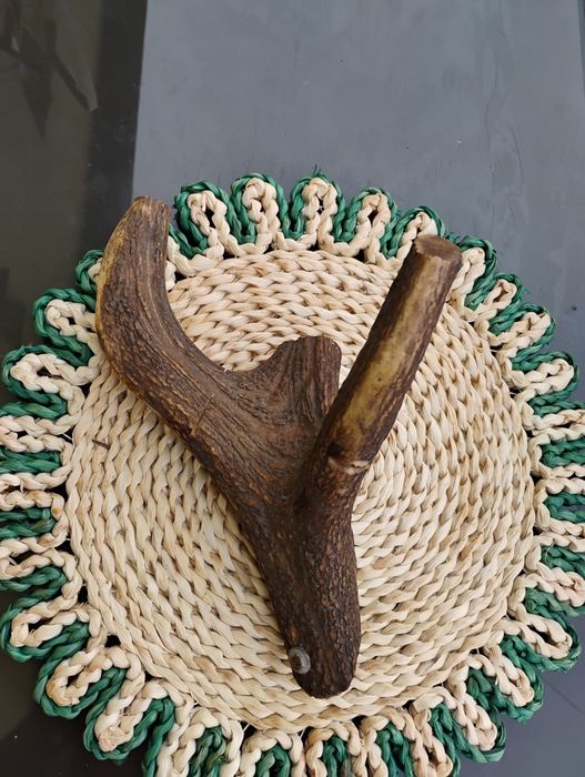 Mienic poroże jelenia wieszak