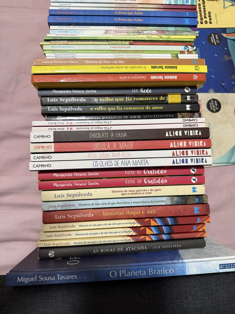 Livros Leitura Obrigatória e Recomendada no Ensino Básico *DESDE 4€*