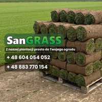 Darń trawnikowa, trawa rolowana, trawa z rolki, trawnik