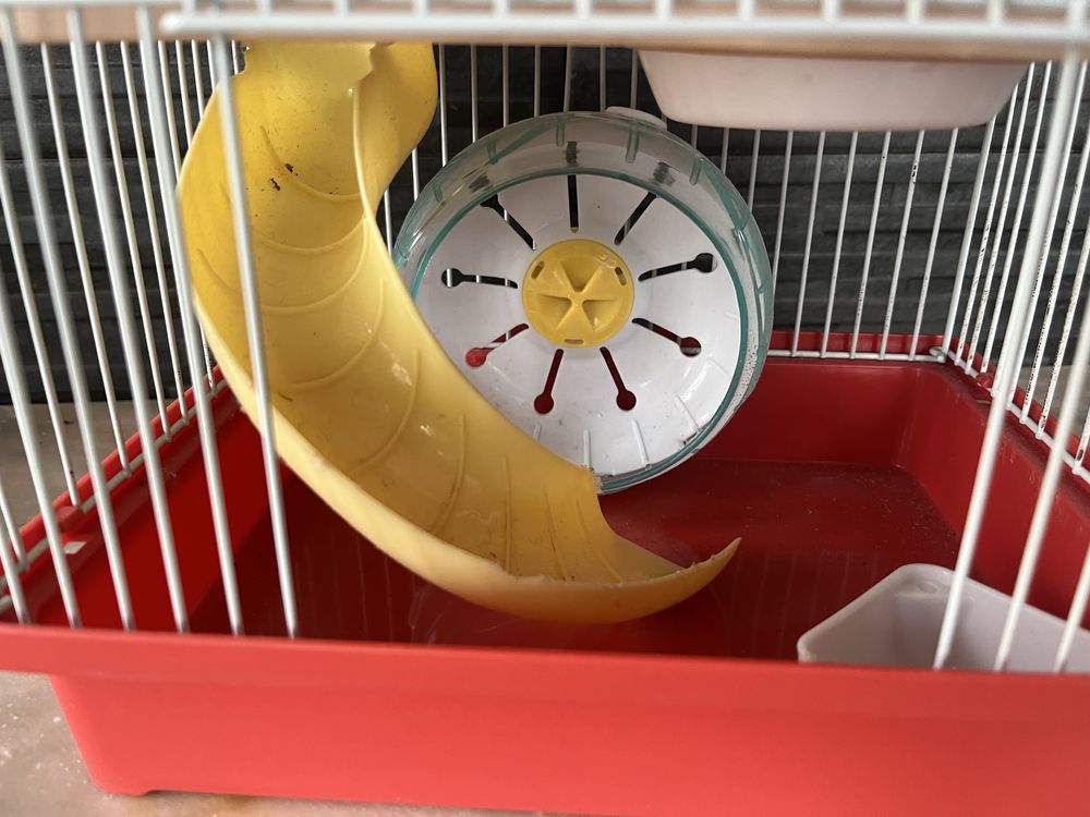 Gaiola para hamster