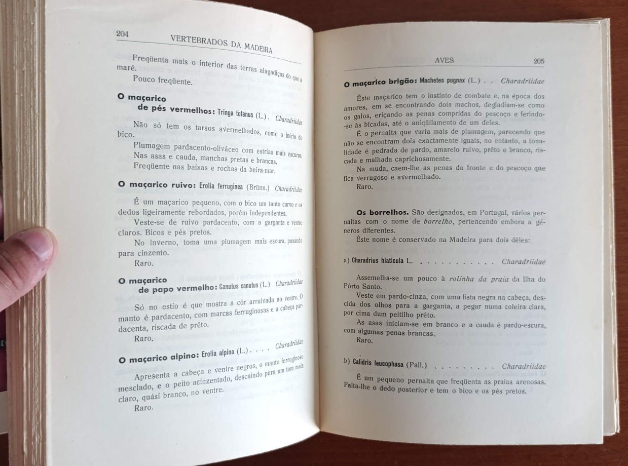 Vertebrados da Madeira - Tenente-Coronel Sarmento