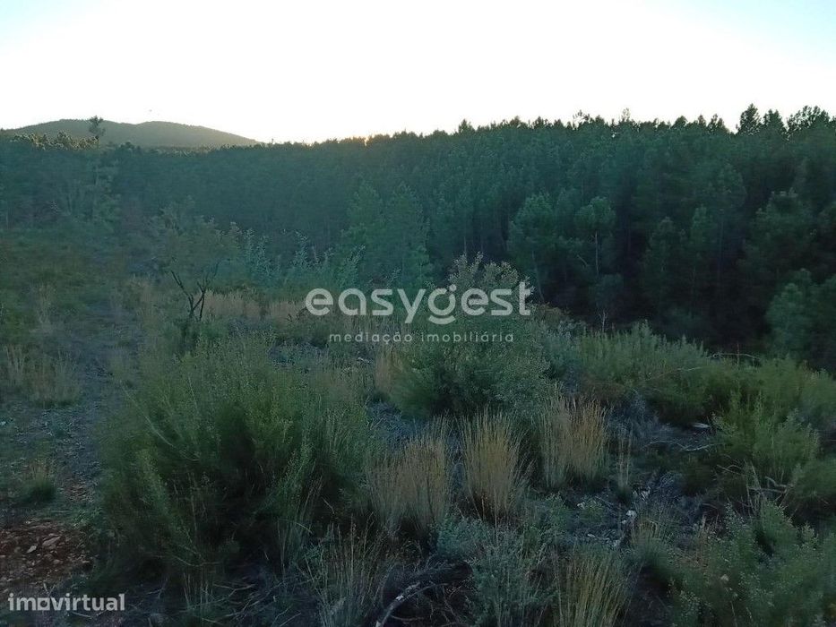Terreno Rústico na Serra da Gardunha