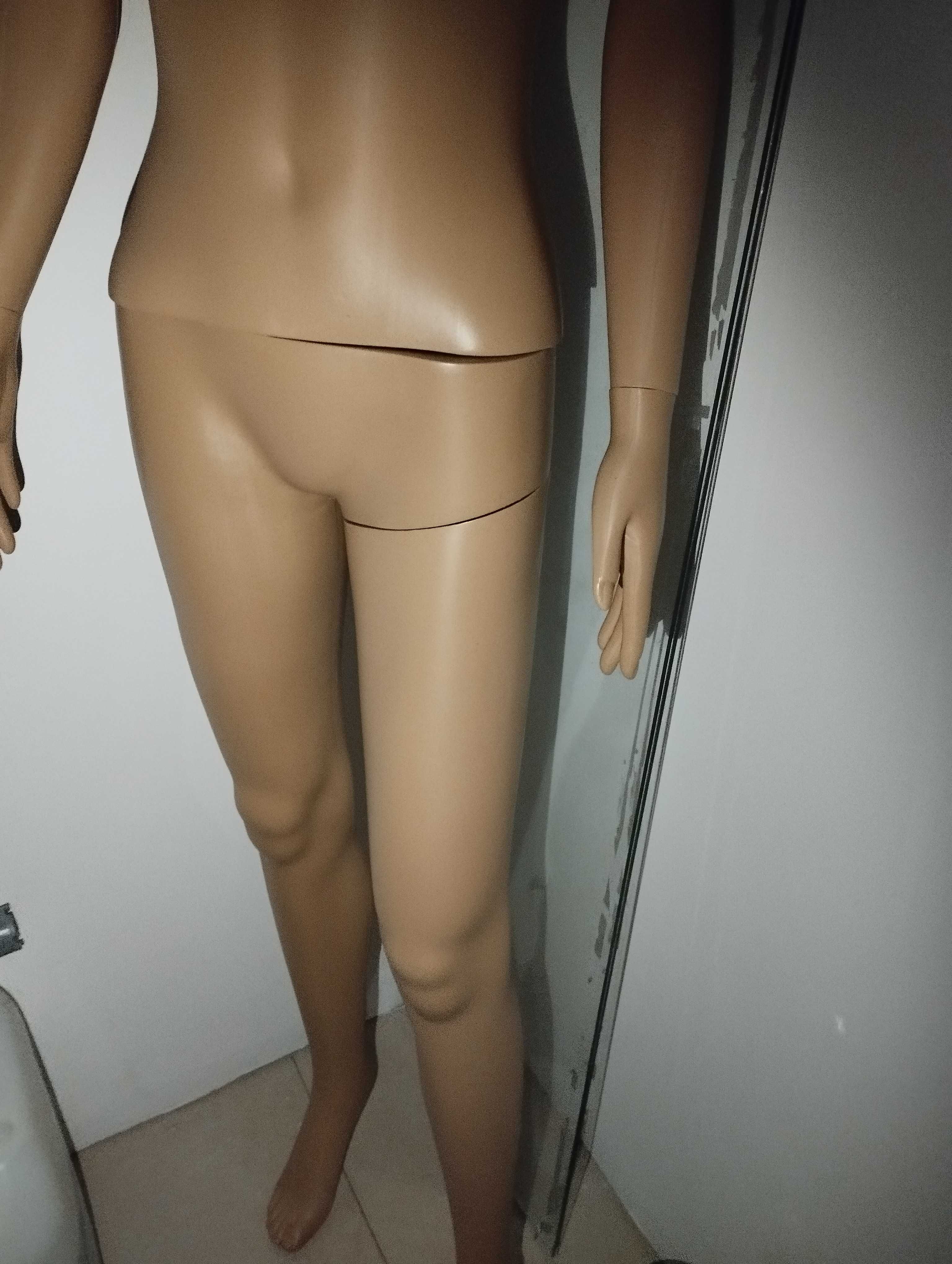 Vendo manequim e expositor de brincos e colares