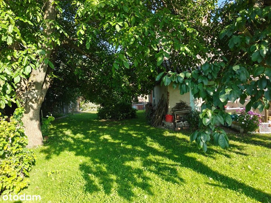 Blisko Natury – Kameralna Działka 20 min od Wrocławia/ Raków