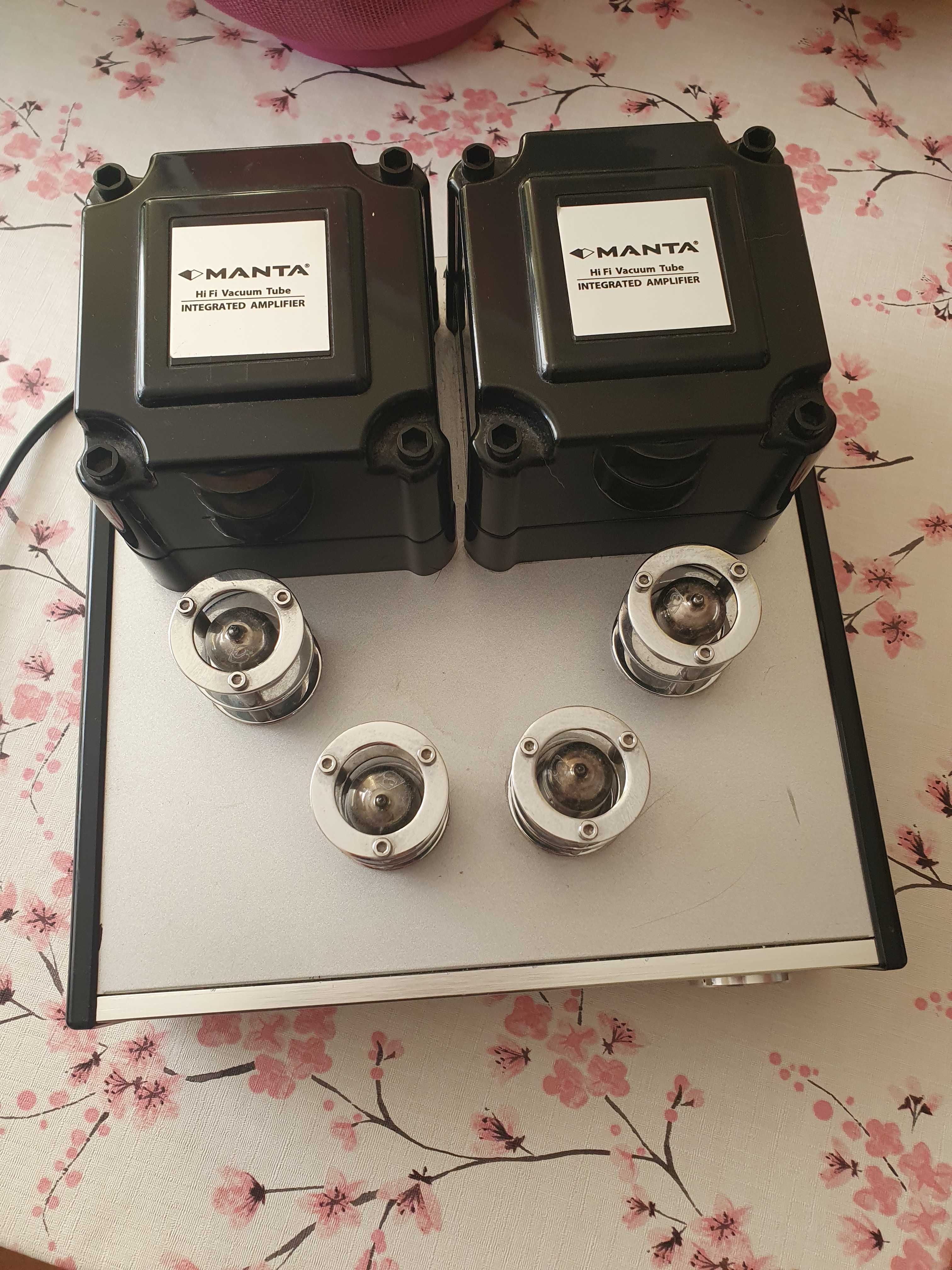 Wzmacniacz lampowy Manta v3