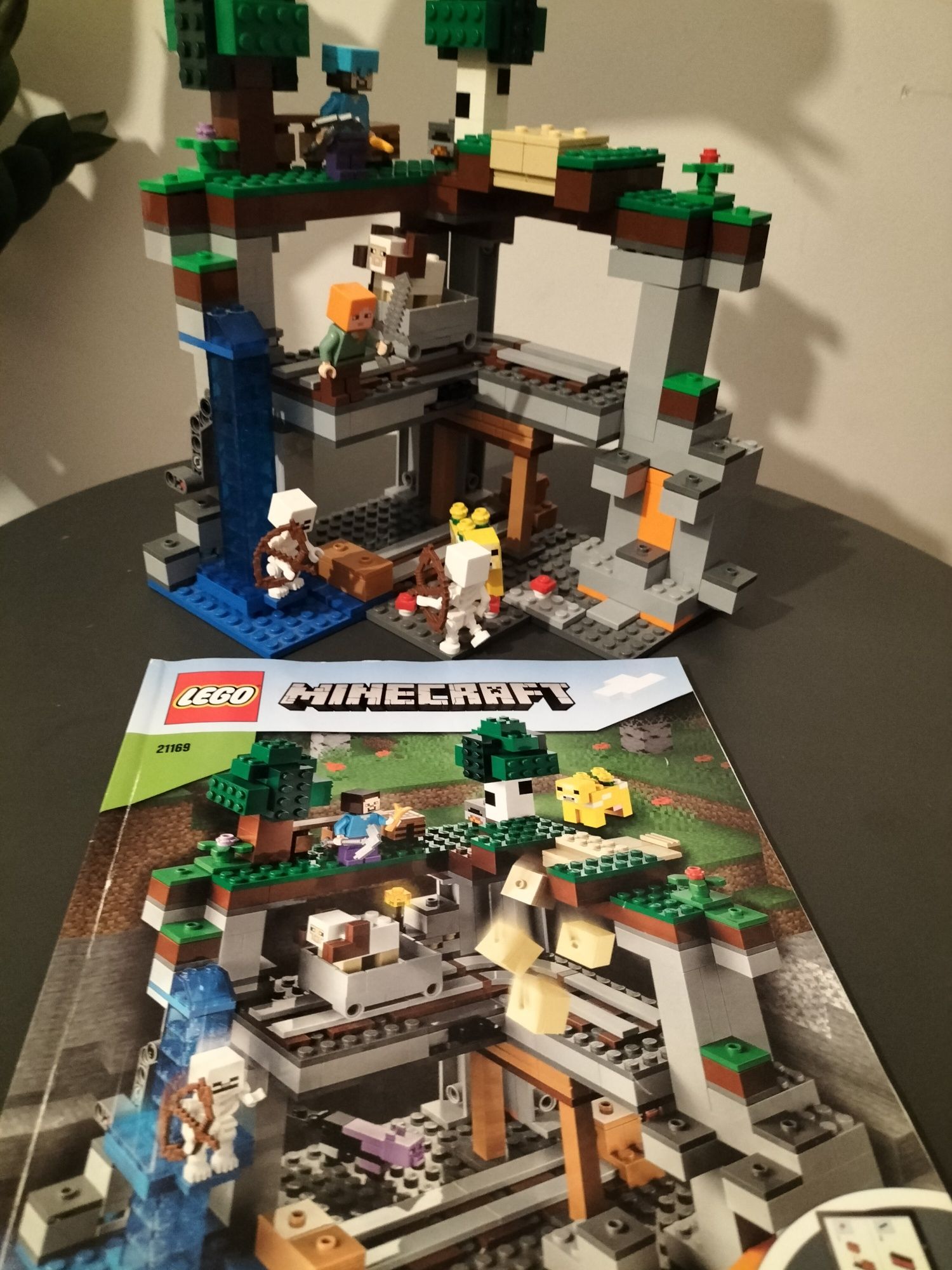 LEGO Minecraft 21169 Pierwsza przygoda