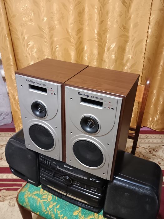 Акустическая система "Кливер 50АС-201"