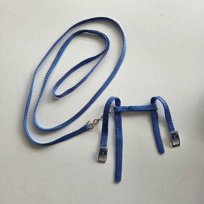 Szelki smycz dla małego szczeniaka, kota, królika szczura niebieski