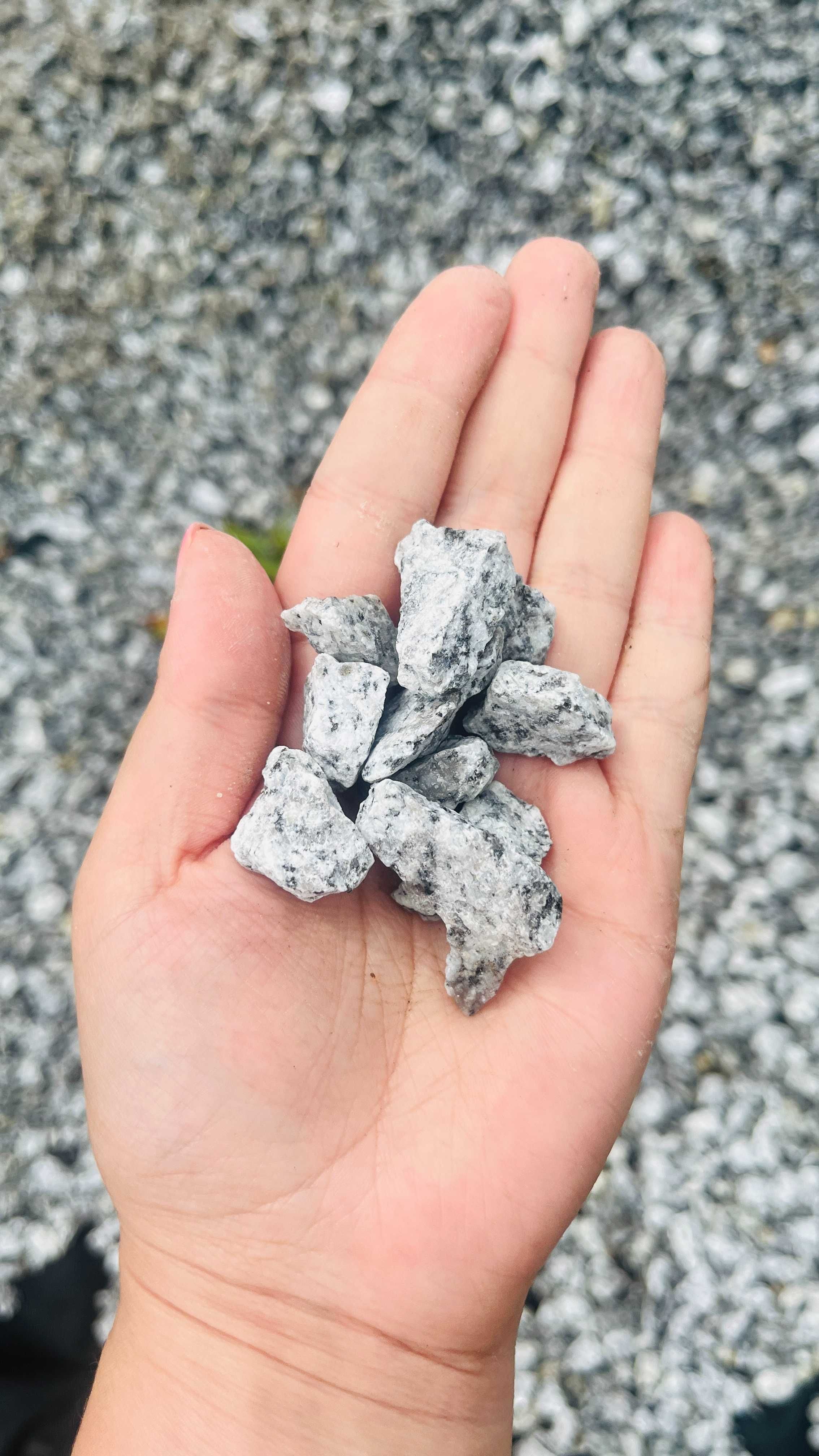 Grys granitowy, kamień ozdobny Dalmatyńczyk, luzem, big-bag, dostawa