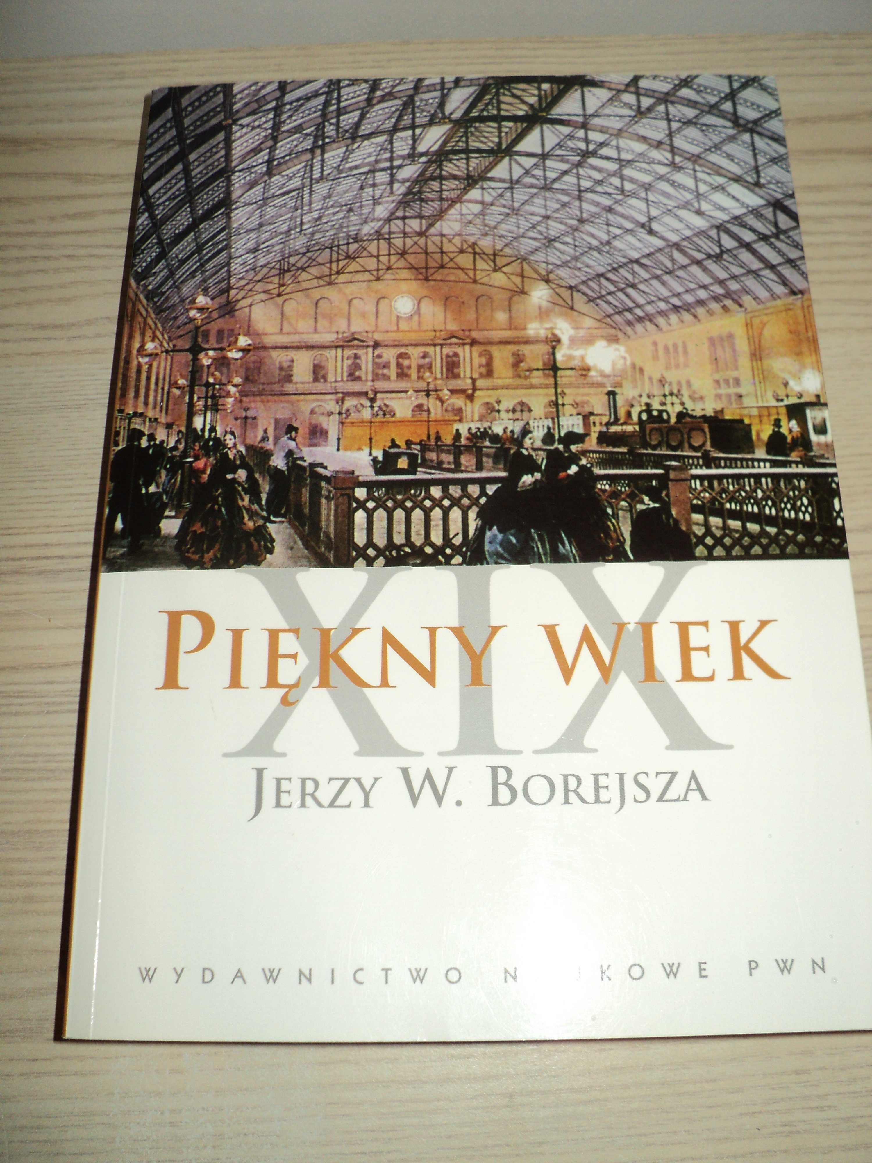 Piękny wiek XIX Jerzy W. Borejsza wyd. PWN Nowe wydanie