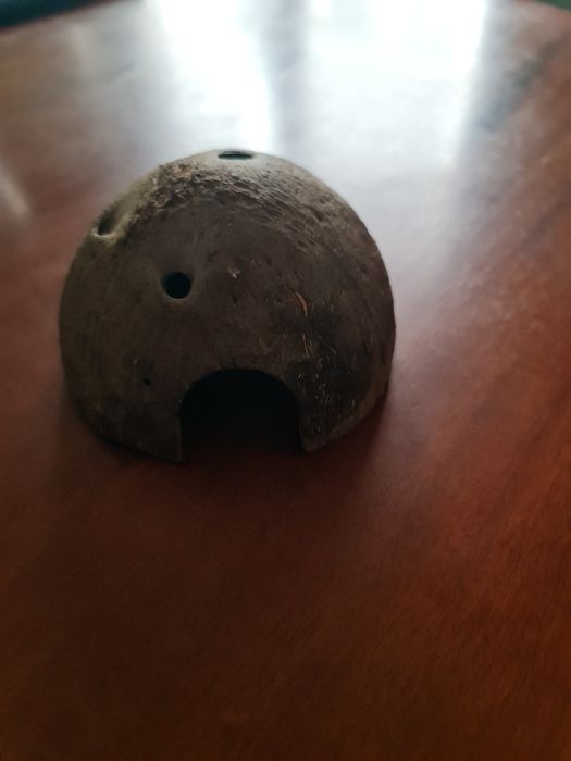 Kokos kryjówka dla węża