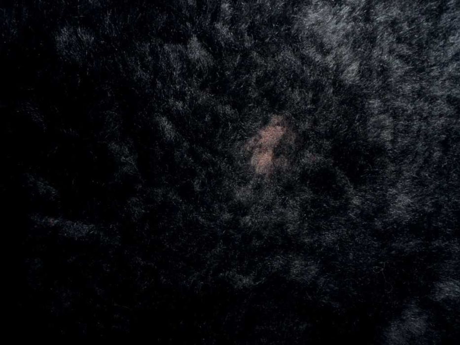 Натуральная меховая жилетка из цигейки 56-58 большой размер