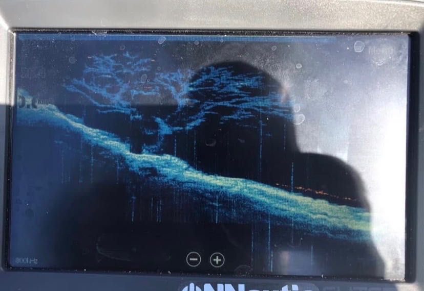 Sonda de pesca Lowrance Elite 9TI