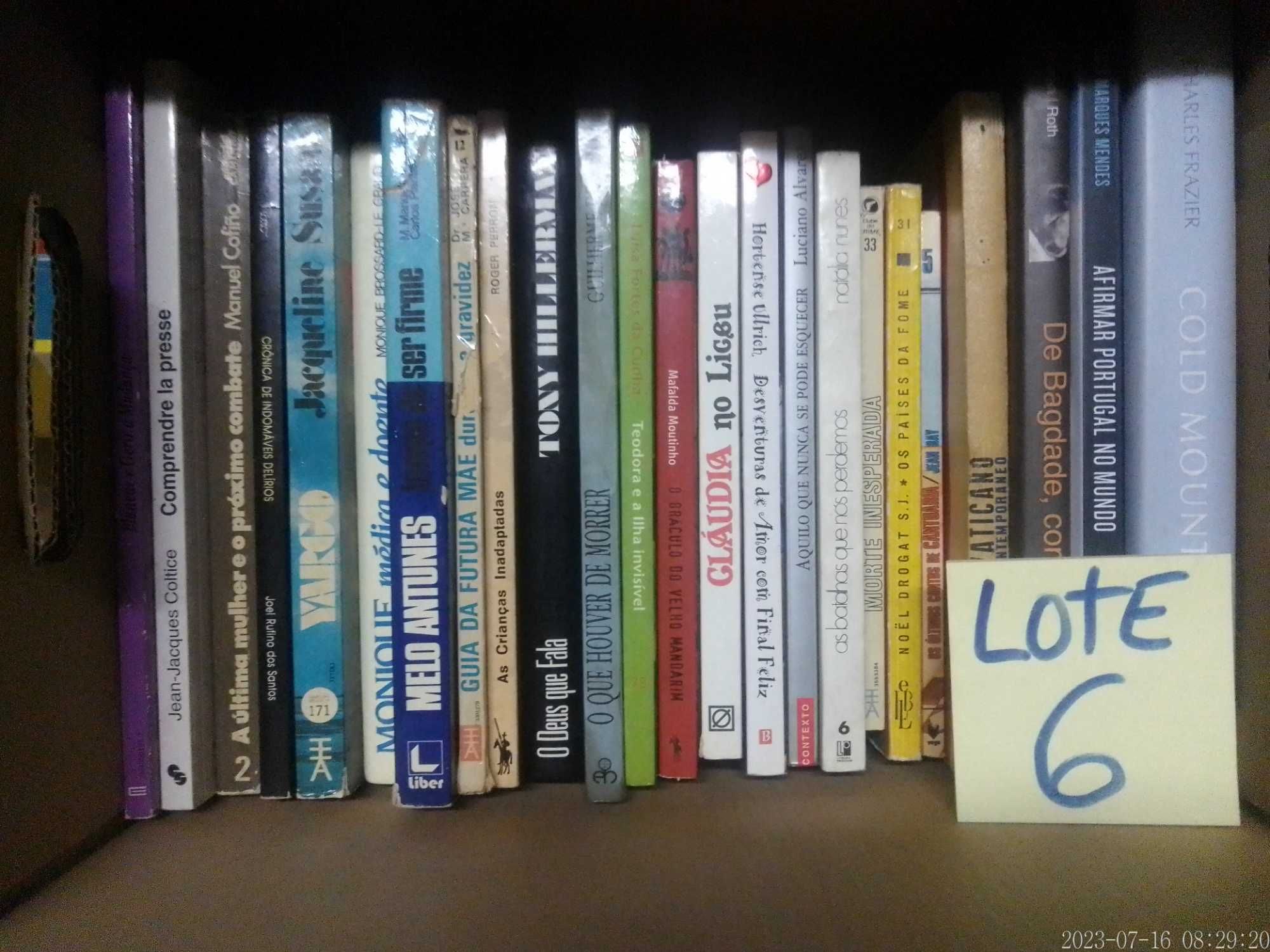 Lote 6 - LIVROS Diversos - Vendidos INDIVIDUALMENTE - Vários Preços