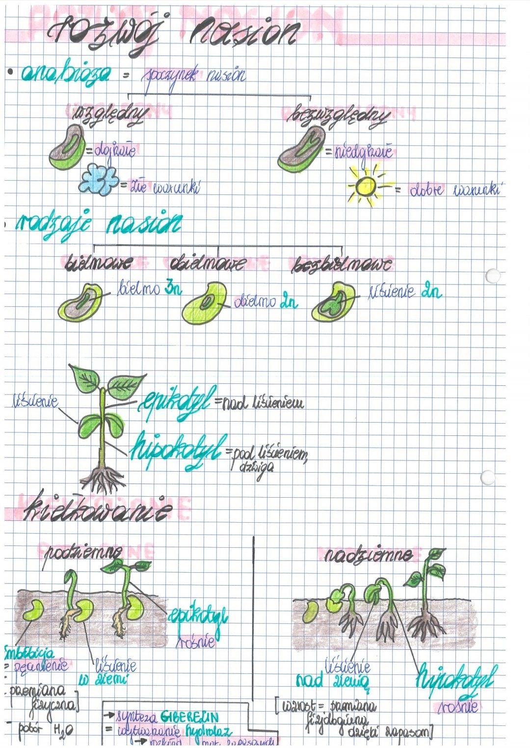 Notatki biologia rozszerzona