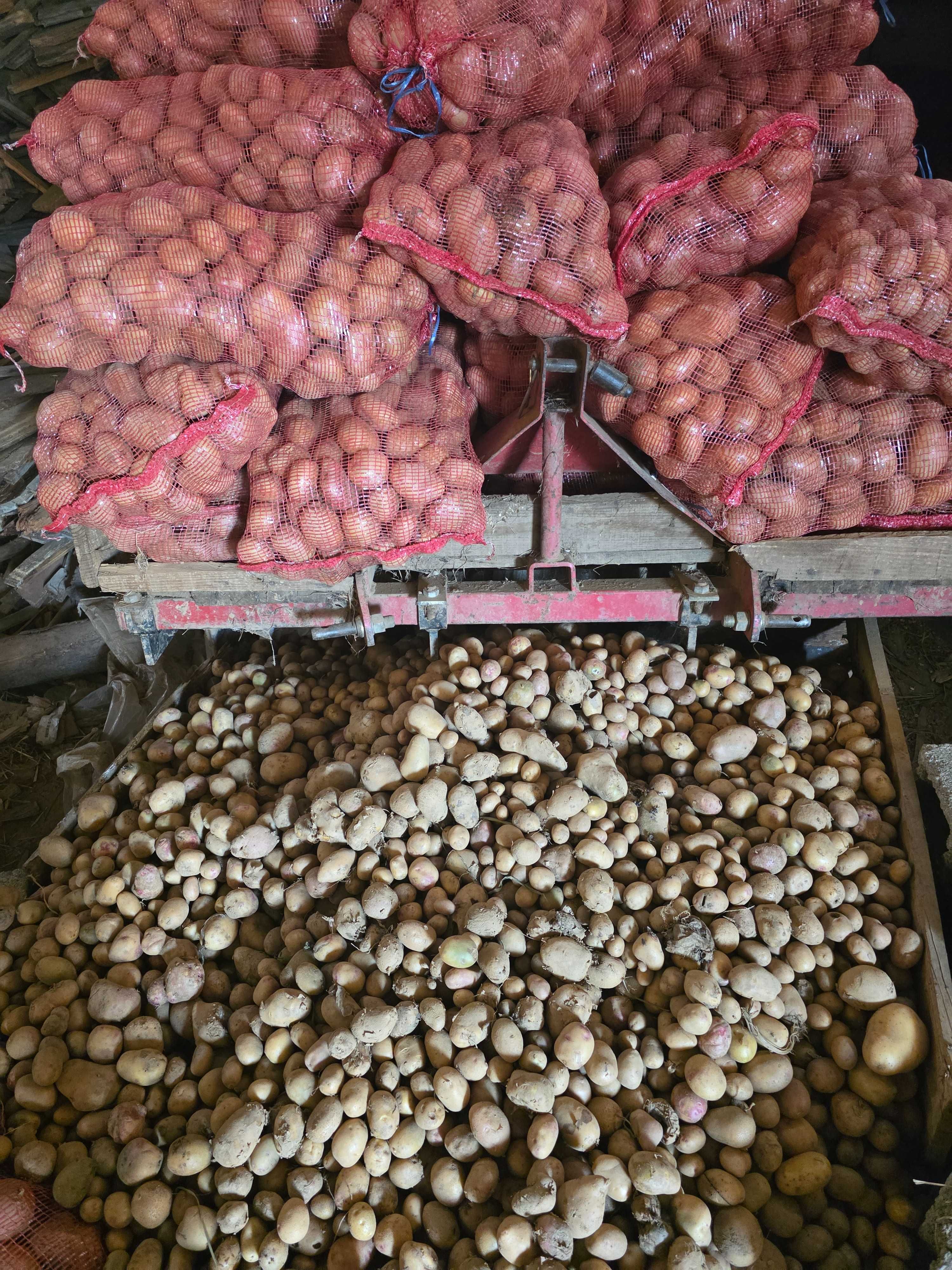 Vendo Batatas a 0,85€ o quilo (Kg) - 17€/20Kg - "A Avó Mimi".