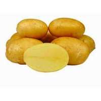 Продам Картоплю насіннєву. Сорт "Мелоді" ( перша репродукція)
