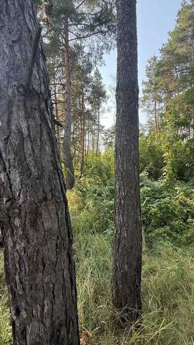 Продаж землі під забудову в Калинівці! Супер вигідно! 120$/сотка