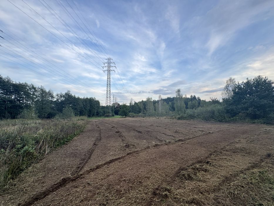 Mulczer Leśny Wycinka Drzew Frezowanie Pni