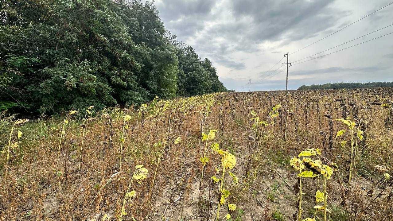 Продаж земельної ділянки, в с. Тарашани (біля дороги).