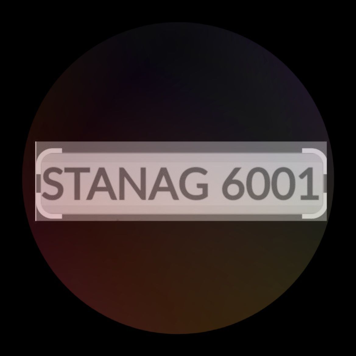 Wiedza w pigułce przed egzaminem STANAG 6001 level 3 voucher nr 1