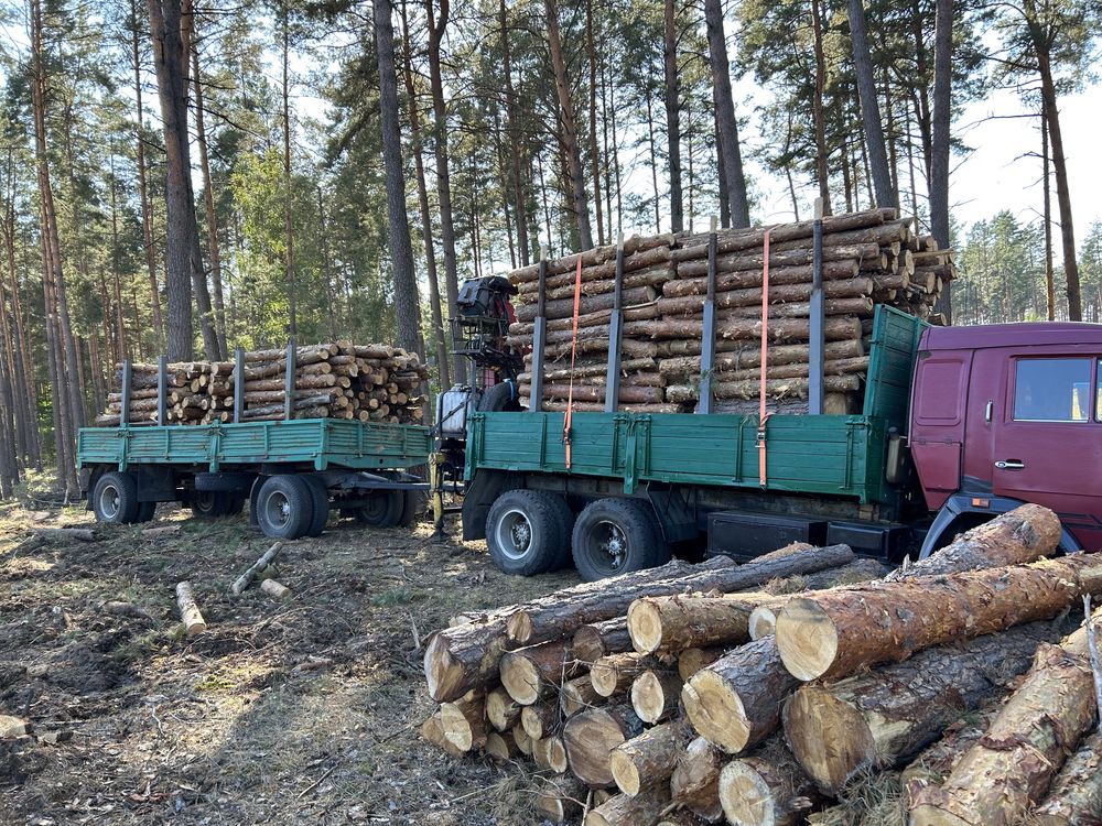 Дрова різних порід